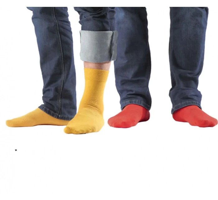 Pánske ponožky Wola Perfect Man W 94.N03