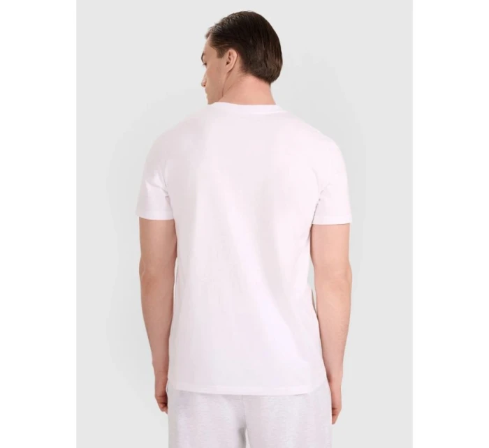 Pánske volejbalové tričko s potlačou 4F 4FRAW25TTSHM3318-10S Pánske volejbalové tričko s potlačou 4F 4FRAW25TTSHM3318-10S