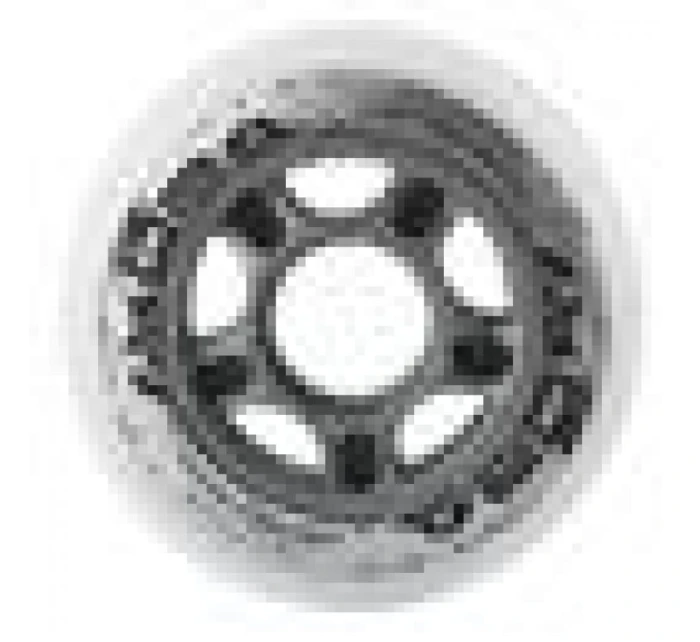 PU BÍLÁ ks) model 21330089 - Nils Extreme PU BÍLÁ ks) model 21330089 - Nils Extreme