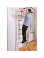 GYMNASTICKÝ REBRÍK S NASTAVITEĽNOU KOVOVOU TYČOU 731W BENCHK