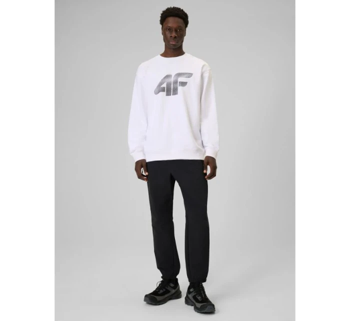 Pánská mikina bez kapuce model 21877664 - 4F Pánská mikina bez kapuce model 21877664 - 4F