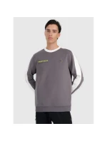 Pánská mikina s kapucí  bez model 21907252 - 4F