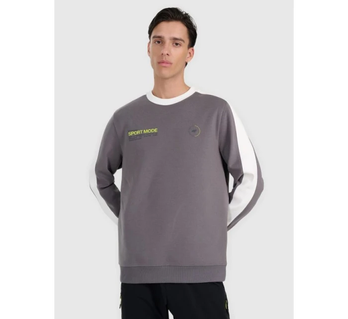 Pánská mikina s kapucí  bez model 21907252 - 4F