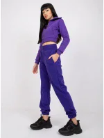 Tepláky RV DR 7460.11 tmavo fialová