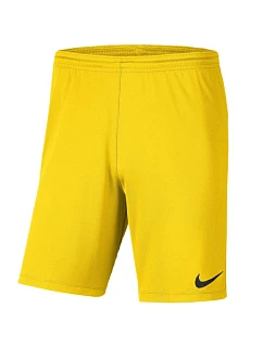 Dětské kraťasy Nike Dry Park III NB  718 model 22301667 - Nike Team