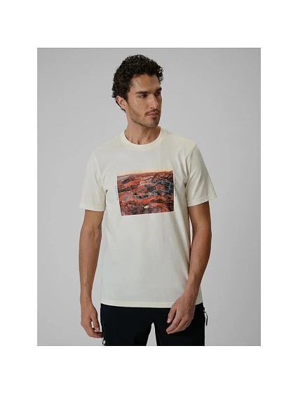 T-shirt regular z nadrukiem męski 4F 4FRSS26TTSHM4238-11S