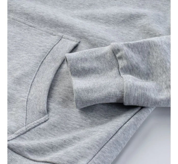 Pánská mikina model 21353292 - Iguana