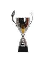 Triumph Cup model 21363429 - Tryumf Triumph Cup model 21363429 - Tryumf