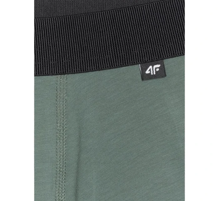 Pánské boxerky (2   92S model 21437491 - 4F