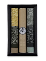 Pánské kapesníky  3ks model 22072923 - EGA