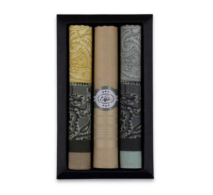 Pánské kapesníky  3ks model 22072923 - EGA