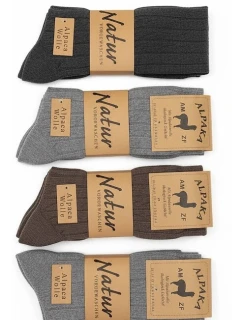 Ponožky 100 model 21728923 dámské vzor 38 A'3 3542 - WiK