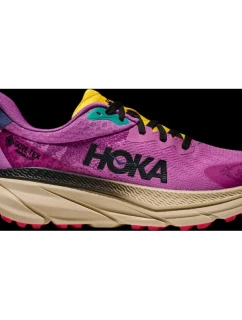 Dámska bežecká obuv HOKA Challenger ATR 7 GTX Superbloom/Oatmeal (1134502F-SBLM)