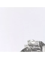 Tričko M model 21401745 10S pánské - 4F Tričko M model 21401745 10S pánské - 4F