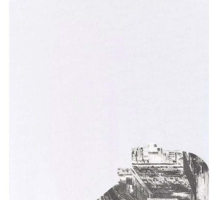 Tričko M model 21401745 10S pánské - 4F Tričko M model 21401745 10S pánské - 4F