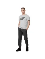 Tričko M H4Z22 model 17729891 27M pánské - 4F