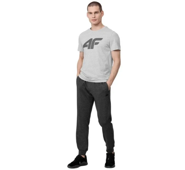 Tričko M H4Z22 model 17729891 27M pánské - 4F