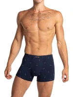 PÁNSKÉ ŠORTKY model 21318244 2PACK - Lama