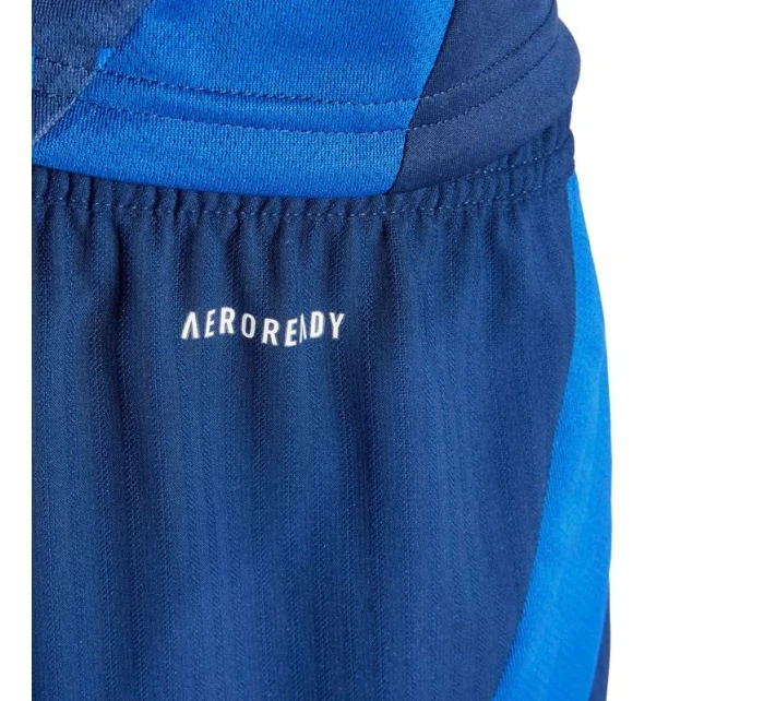 Šortky adidas Tiro 24 Competition Match M IQ4754