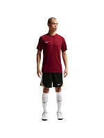 DriFit Park VIII pánské tričko bordó  pánské model 21910905 - NIKE