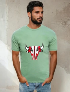 FashionStreet pánske svetlozelené tričko RX4930