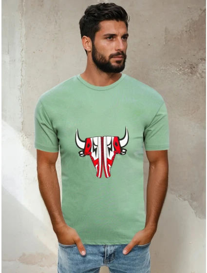 Pánské světle zelené tričko Dstreet model 21965073 - FashionStreet