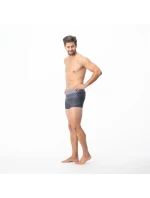 Pánske plavky Stripe M 92800076209 - Aquawave