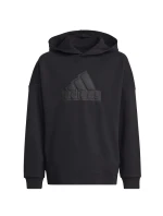Mikina adidas FI Logo HD Jr HR6301 Mikina adidas FI Logo HD Jr HR6301
