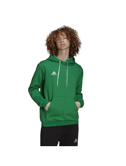 Pánská mikina Entrada 22 Sweat Hoodie M model 17271204 - ADIDAS