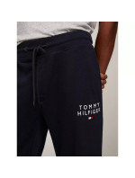 Pánske nohavice TRACK PANT HWK UM0UM02880DW5 - Tommy Hilfiger