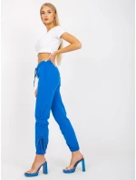 Tepláky RV DR 7943.19 tmavo modrá