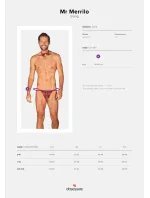 Pánsky set Mr Merrilo thong + motýlik - Obsessive Pánsky set Mr Merrilo thong + motýlik - Obsessive