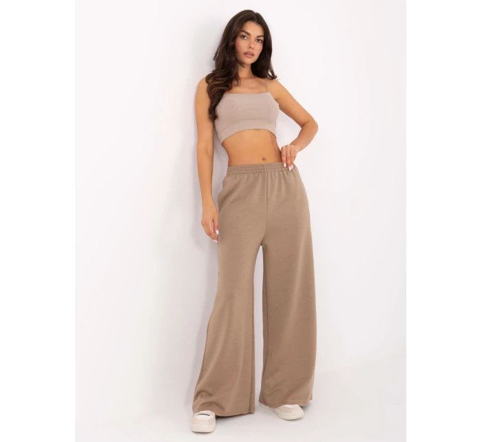 Spodnie IT SP model 21389022 ciemny bezowy - FPrice Spodnie IT SP model 21389022 ciemny bezowy - FPrice