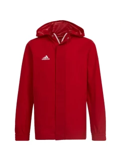 Entrada 22 Jr Jacket model 18567057 - ADIDAS