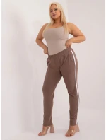 Tepláky RV DR 6643.95 hnedá Tepláky RV DR 6643.95 hnedá