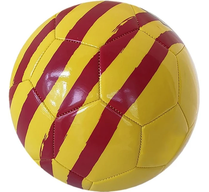 FC Barcelona fotbal model 21804232 FC Barcelona fotbal model 21804232