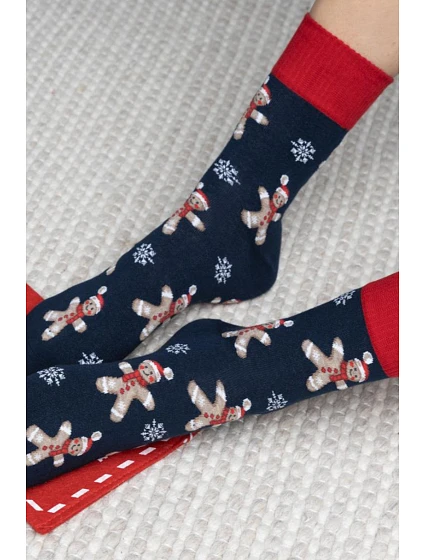 VÁNOČNÍ PONOŽKY PRO model 21370493 136 - Steven