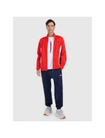 Pánská mikina s kapucí model 21907258 pánské - 4F