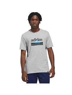Pánske tričko adidas Sportsman Mountain Graphic T-shirt light grey KC9253 pánske