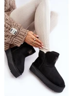 Sněžnice Na Platformě  Černé model 21638839 - D.Franklin