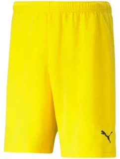 Pánské šortky teamRISE M 07 model 16082281 - Puma