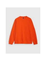 Pánska mikina s kapucňou 4F 4FRSS25TSWSM2179-70S pánska Pánska mikina s kapucňou 4F 4FRSS25TSWSM2179-70S pánska