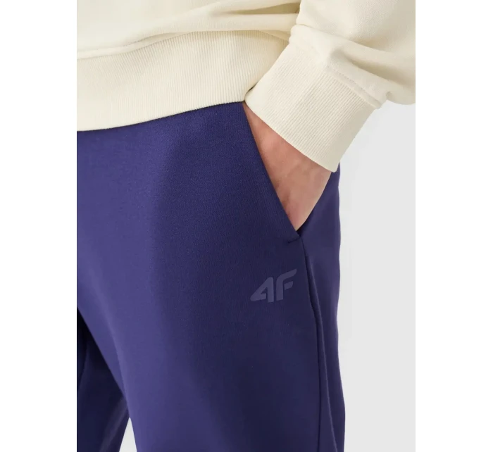 Pánské tepláky 4F Pánské tepláky 4F