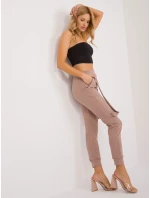 Spodnie dresowe RV DR model 19926671 ciemny bezowy - FPrice Spodnie dresowe RV DR model 19926671 ciemny bezowy - FPrice