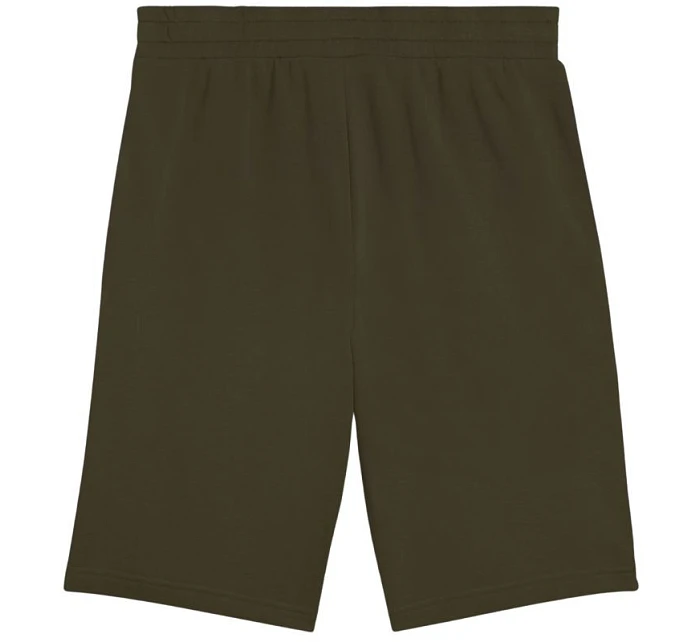 Puma Ess 2 Color No. 1 Logo M 684715 70 Šortky