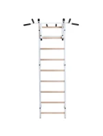 GYMNASTICKÝ REBRÍK S NASTAVITEĽNOU KOVOVOU TYČOU 731W BENCHK