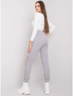 Tepláky RV DR model 16719716 šedá - FPrice