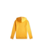 O'Neill Logo Hoodie Jr 92800615006