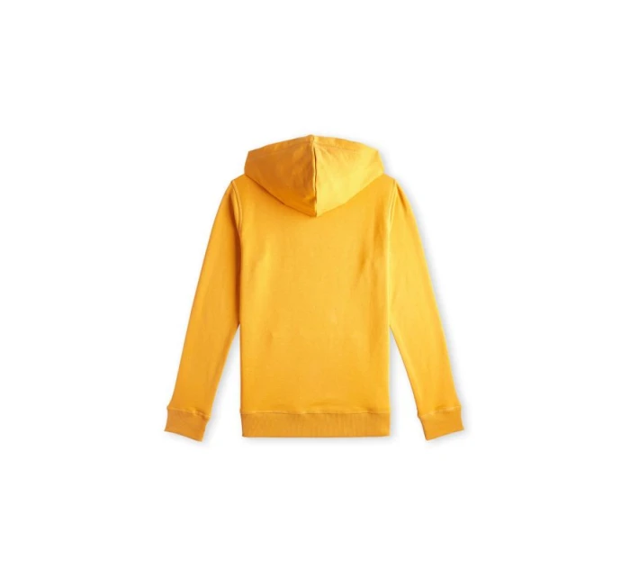 O'Neill Logo Hoodie Jr 92800615006