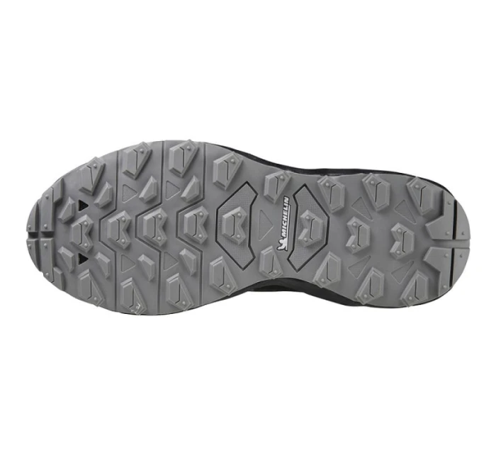 Bežecká obuv Mizuno Wave Daichi 7 GTX W J1GK225621